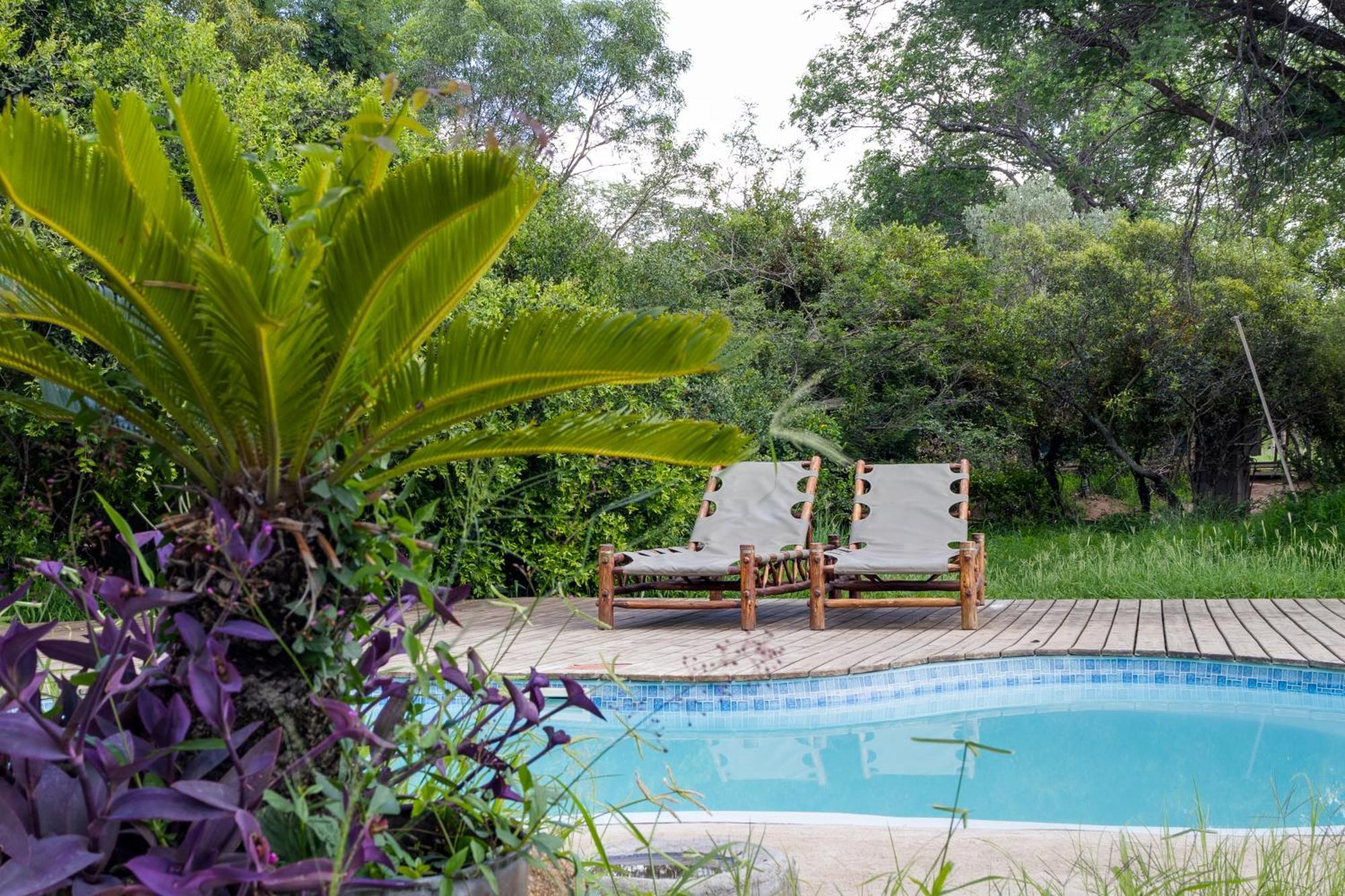 Tangala Safari Camp Vila Reserva de Caça Thornybush Exterior foto